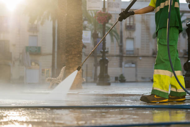 Best Roof Washing  in Villa Ridge, MO